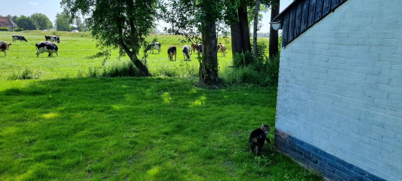 Villa Slapen Bij Bonanza à Bantega Extérieur photo